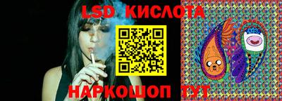 стаф Заводоуковск
