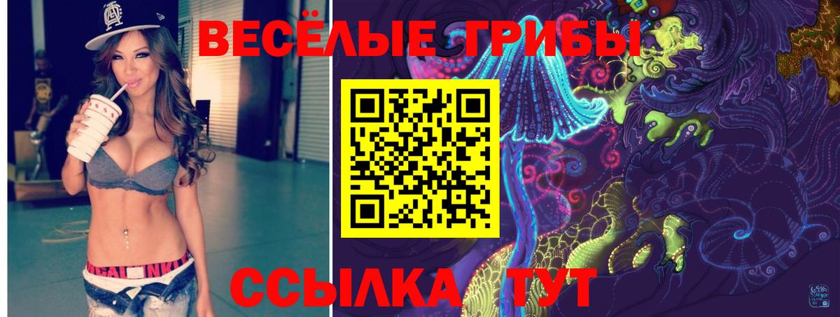 Псилоцибиновые грибы MAGIC MUSHROOMS  Галлюциногенные грибы мухоморы  дарнет шоп  Лениногорск  Вход с VPN 